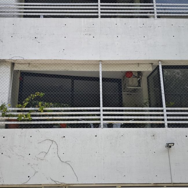 Fraga 292 - 2019(1)