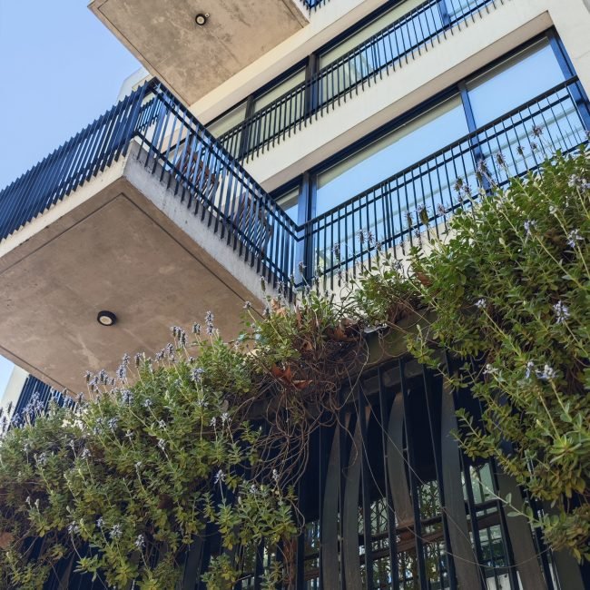 Uriarte 870 - 2019(2)